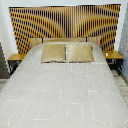 Appartement Moderne Centre Ville De ديجون المظهر الخارجي الصورة