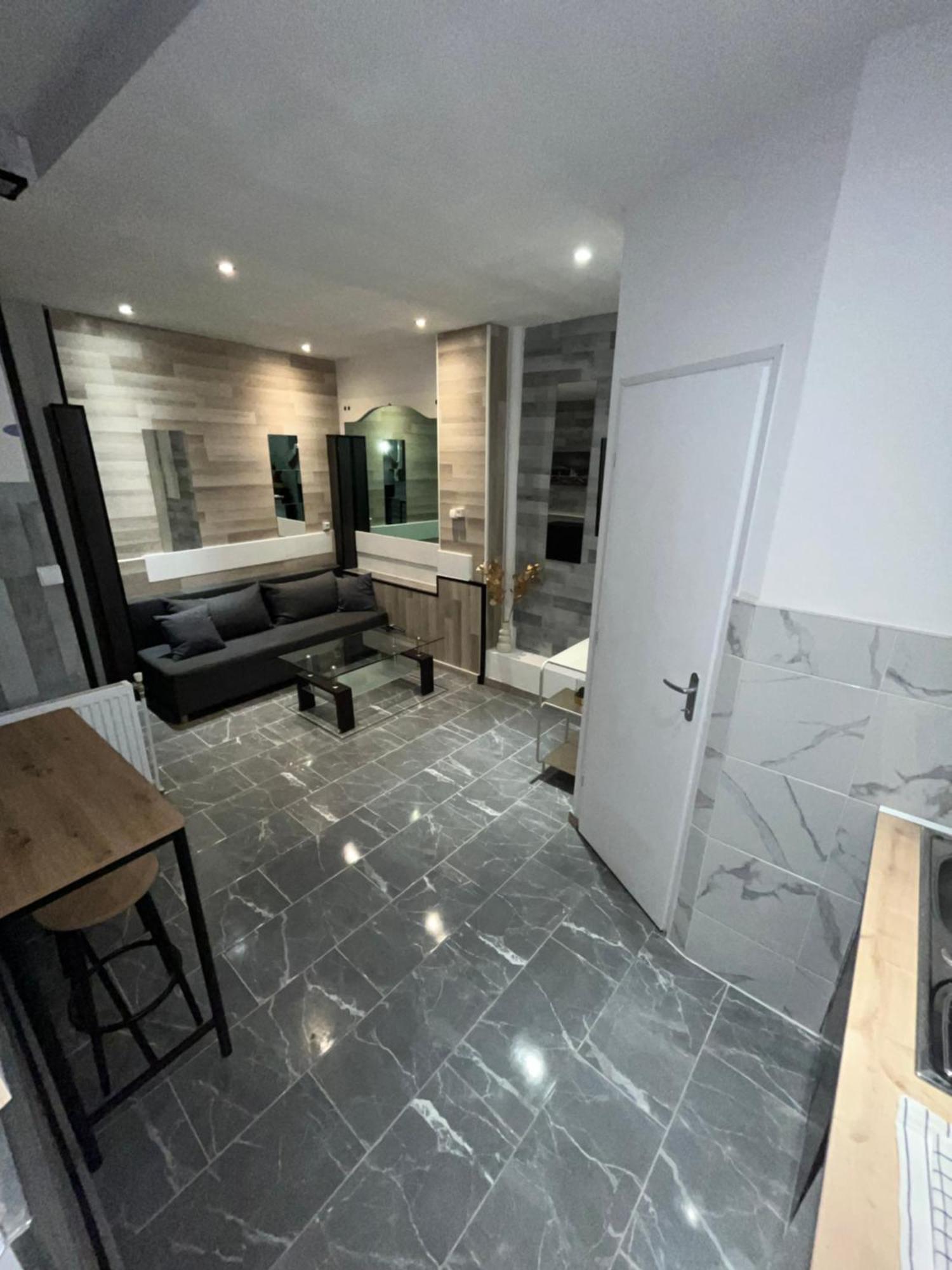 Appartement Moderne Centre Ville De ديجون المظهر الخارجي الصورة