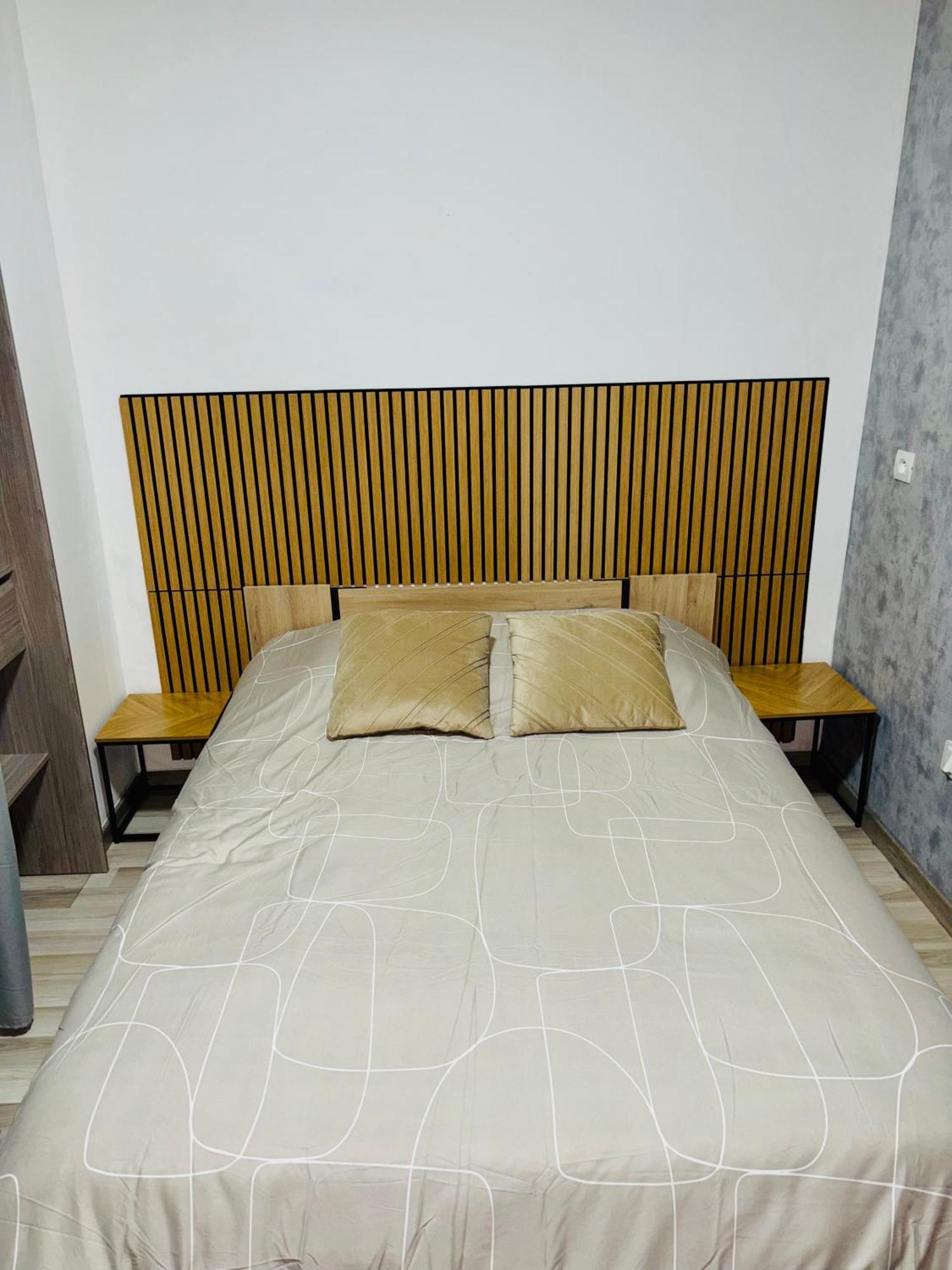 Appartement Moderne Centre Ville De ديجون المظهر الخارجي الصورة